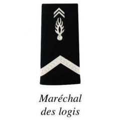 2 FOURREAUX GENDARMERIE DEPARTEMENTALE PLASTIFIE