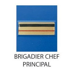 Grade Police Municipale plastifié en relief