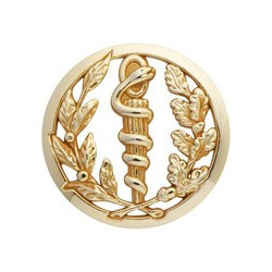 Insigne de beret doré Service de Santé
