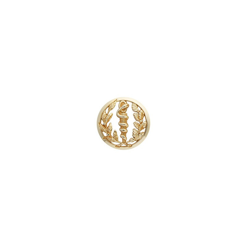 Insigne de beret doré Service de Santé