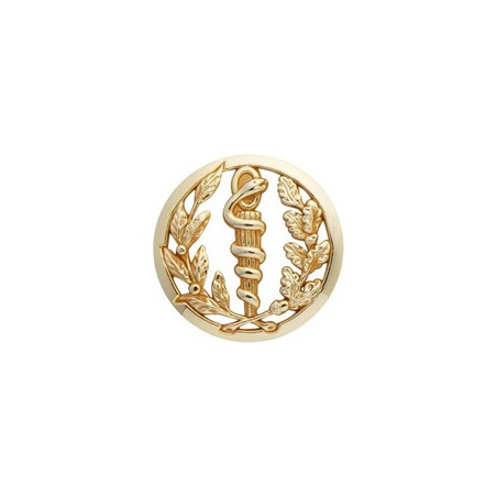 Insigne de beret doré Service de Santé