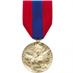 Médaille Défense Nationale bronze