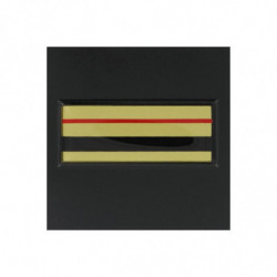 Galon de Poitrine Résine Gendarmerie Mobile Major