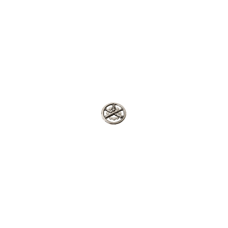 Insigne de beret argenté Matériel