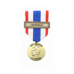 Médaille Ordonnance Protection du territoire + agrafe Sentinelle