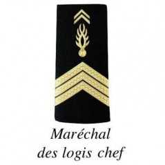 2 Fourreaux “Gendarmerie Mobile” — plastifiés, paire d’épaulettes 2 Fourreaux “Gendarmerie Mobile” — plastifiés, paire d’épaulettes