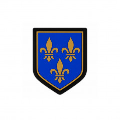Écusson légion gendarmerie mobile rubber velcro patch tactique