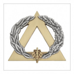 Brevet secouriste Bronze
