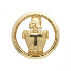 Insigne de beret doré Transmission