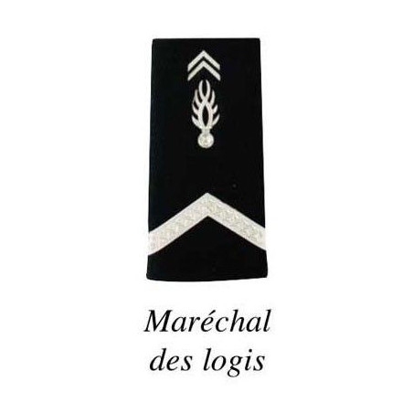 2 FOURREAUX GENDARMERIE DEPARTEMENTALE PLASTIFIE